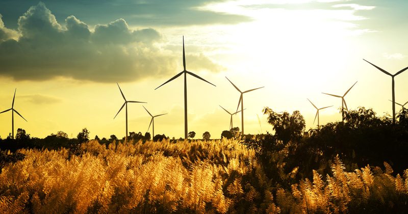 shutterstock 161515241 shutterstock 161515241