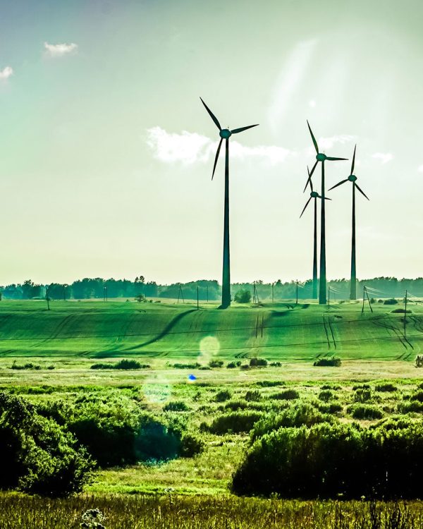 shutterstock 110700254