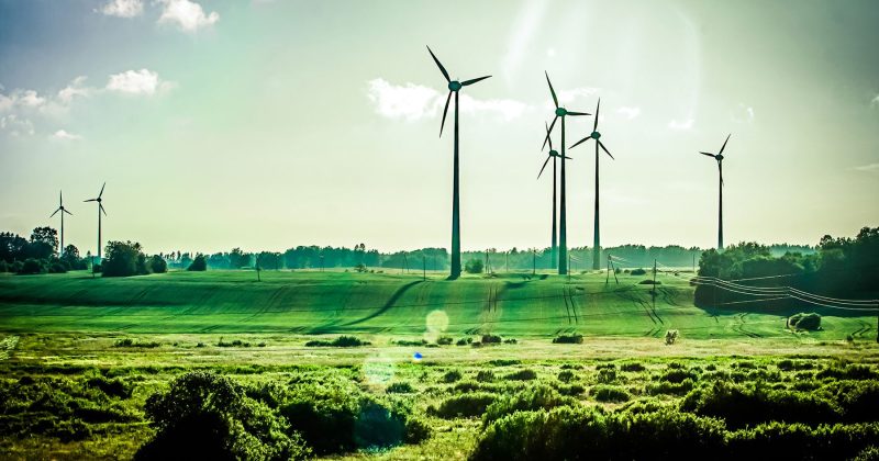 shutterstock 110700254