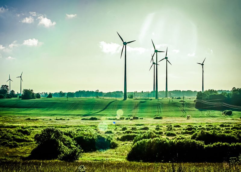 shutterstock 110700254