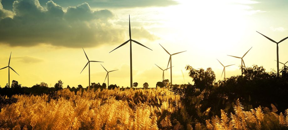 shutterstock 161515241