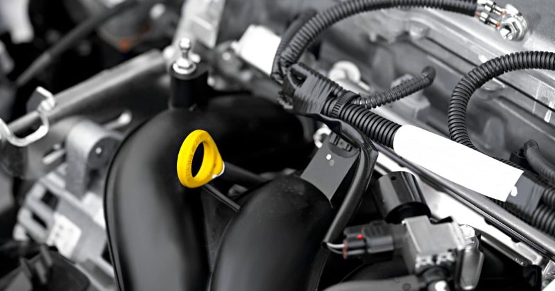 shutterstock 189361109 shutterstock 189361109